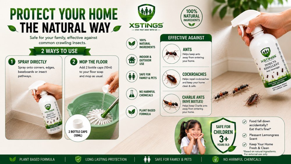Usage guide: spray directly onto corners, edges and baseboards, or add
                      two bottle caps to your floor soap and mop. Effective against ants,
                      cockroaches and Charlie ants.